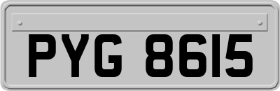 PYG8615