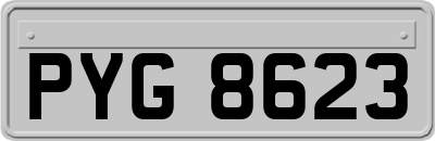 PYG8623