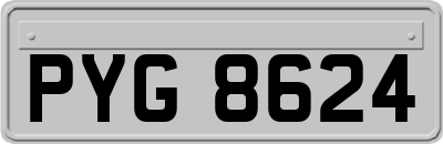 PYG8624