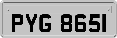 PYG8651