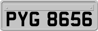 PYG8656