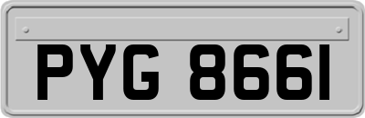 PYG8661