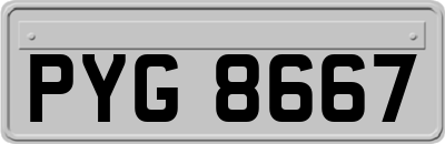 PYG8667