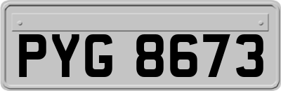 PYG8673