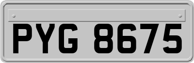 PYG8675