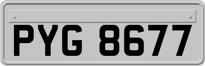 PYG8677