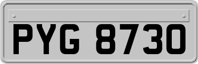 PYG8730