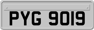 PYG9019