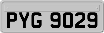 PYG9029