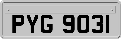 PYG9031