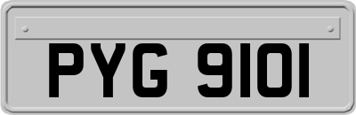 PYG9101