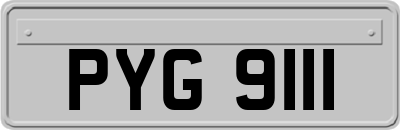 PYG9111