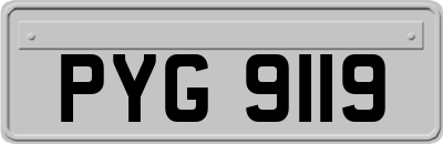 PYG9119