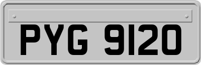 PYG9120