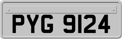 PYG9124