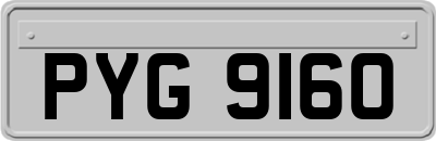 PYG9160