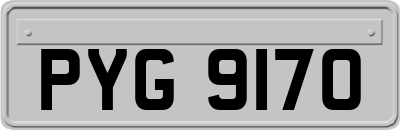 PYG9170