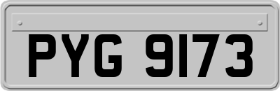 PYG9173