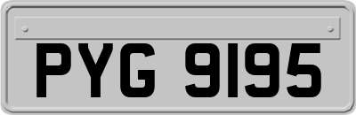 PYG9195