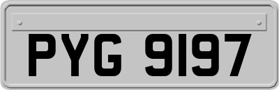 PYG9197