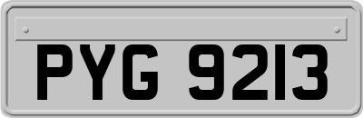 PYG9213