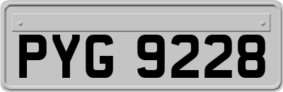 PYG9228