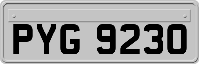 PYG9230