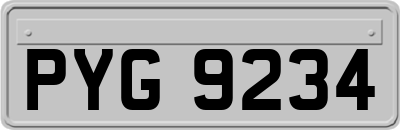 PYG9234