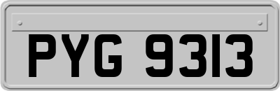 PYG9313