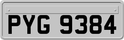 PYG9384