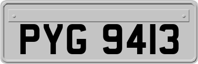 PYG9413