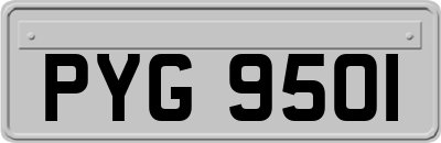 PYG9501