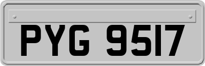 PYG9517