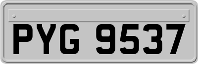 PYG9537