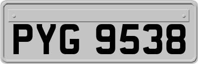 PYG9538