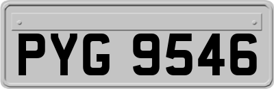 PYG9546