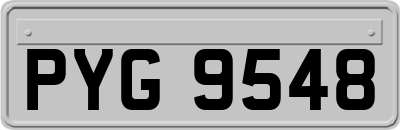 PYG9548