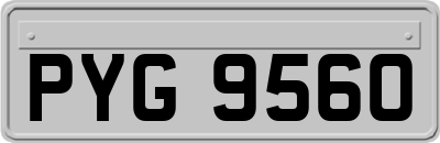 PYG9560