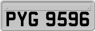 PYG9596