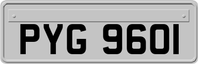 PYG9601