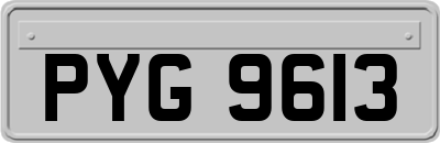 PYG9613