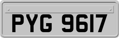 PYG9617