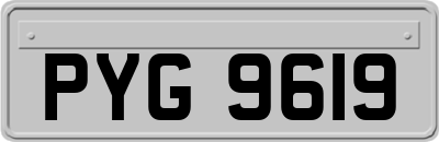 PYG9619