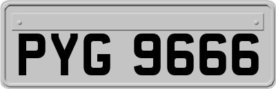 PYG9666