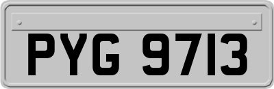 PYG9713