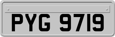 PYG9719