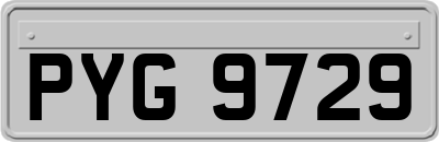 PYG9729