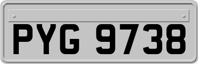 PYG9738