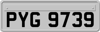 PYG9739