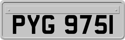 PYG9751